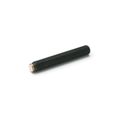Otto Ganter Grub Screw with Brass or Plastic Pivot, GN 913.3